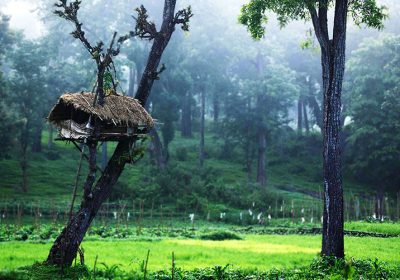 Calicut Wayanad Tour Package