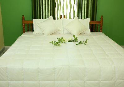 wayanad honeymoon package