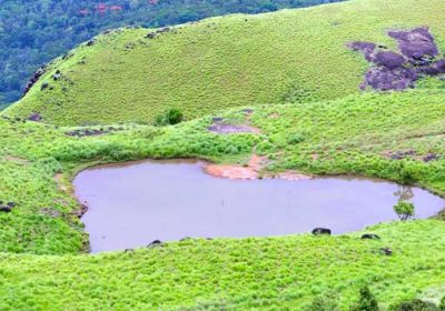 Trivandrum Wayanad Tour Package