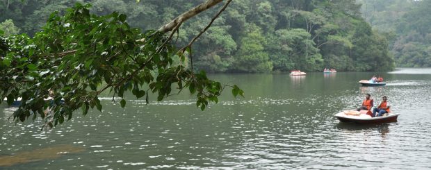wayanad tourist pookot lake